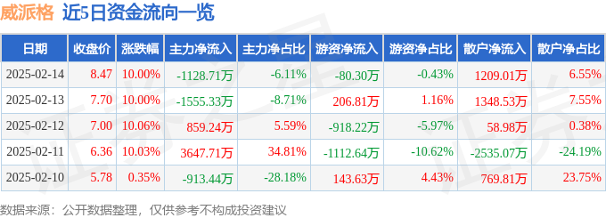威派格（603956）2月14日主力资金净卖出112871万元(图1)